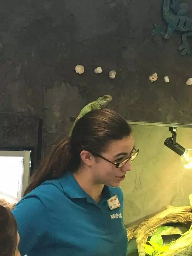 Animart Pet Store