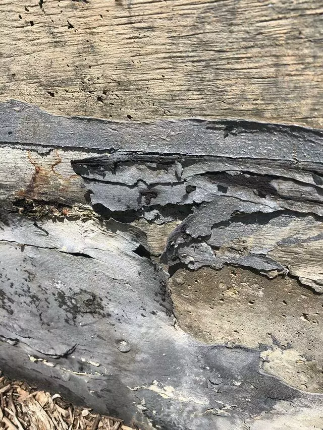 Advanced Health & Safety