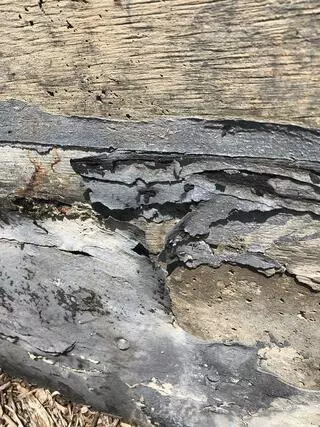 Advanced Health & Safety
