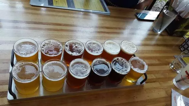 Ale Asylum