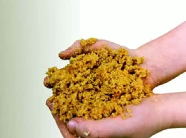 Advanced Dry Carpet