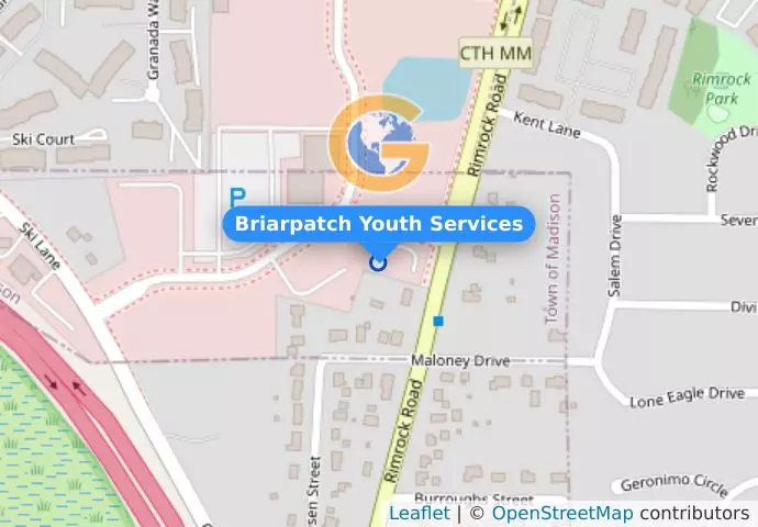 Briarpatch Youth Services