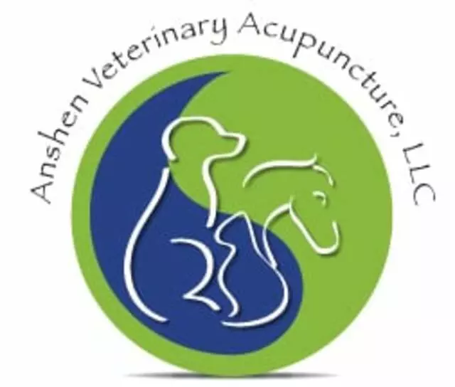 AnShen Holistic Veterinary Care