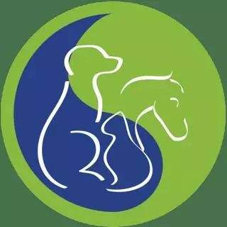 AnShen Holistic Veterinary Care
