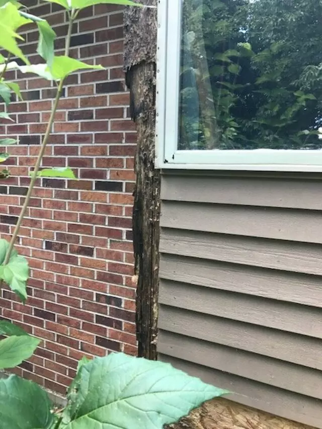 3rd Gen Painting and Remodeling