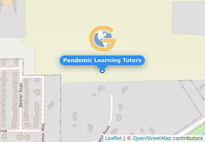 Pandemic Learning Tutors