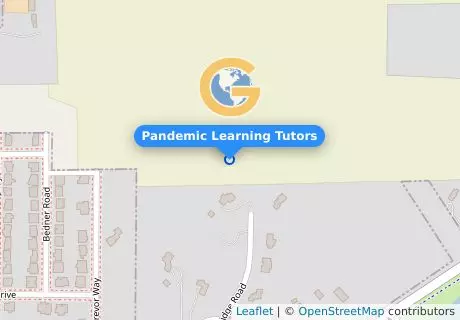 Pandemic Learning Tutors