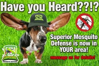 Superior Mosquito Defense