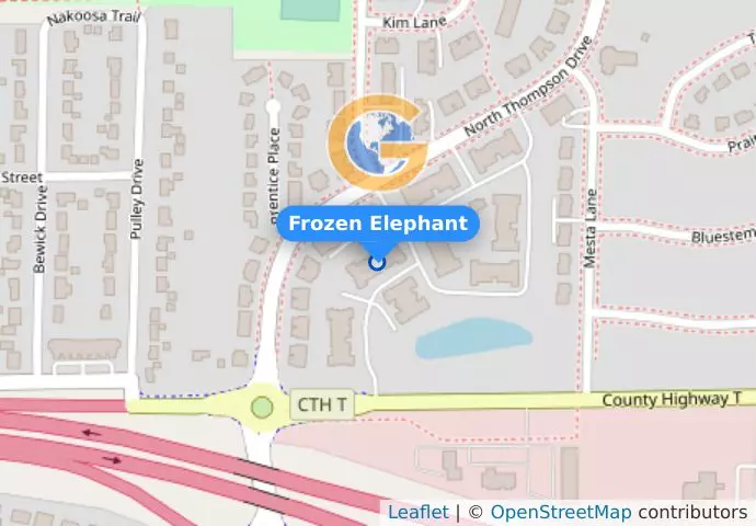 Frozen Elephant