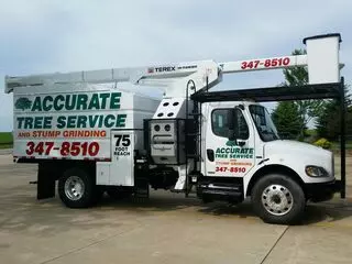 Accurate Tree Service and Stump Grinding
