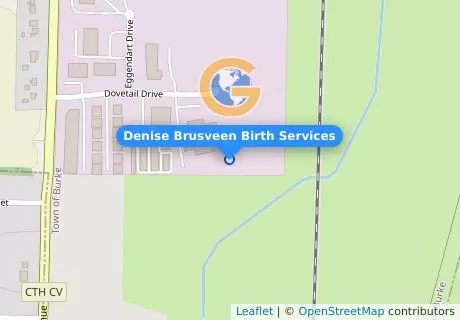 Denise Brusveen Birth Services