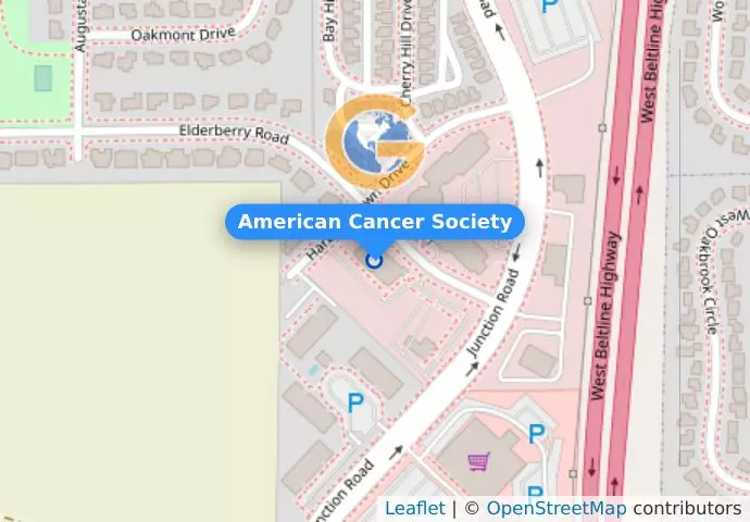 American Cancer Society