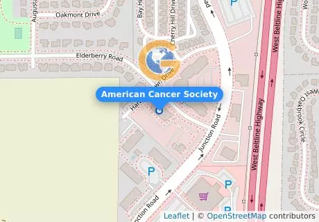 American Cancer Society