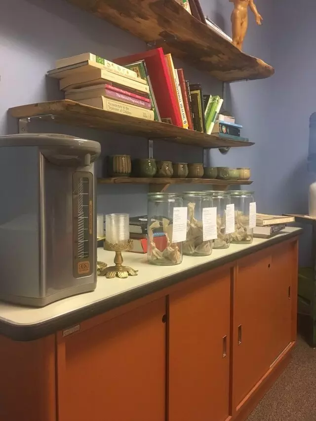 Ahimsa Wellness Collective