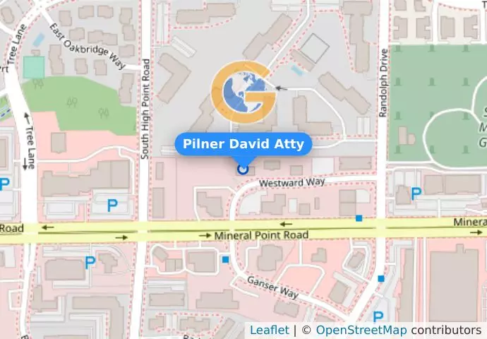 Pilner David Atty