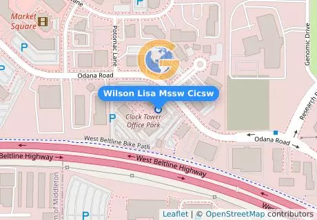 Wilson Lisa Mssw Cicsw