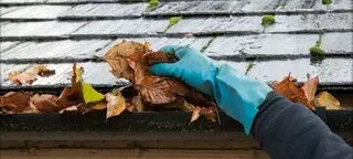 Action Professional Window & Gutter Cleaning Service