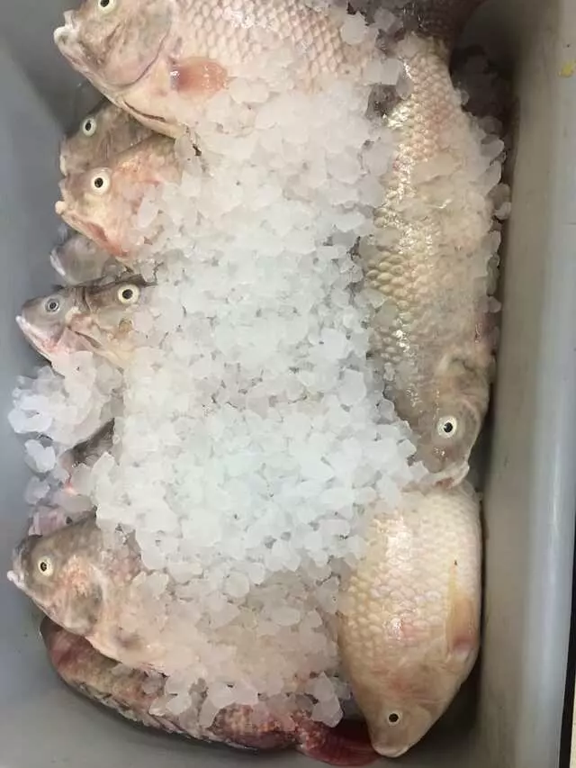 Asian Midway Foods
