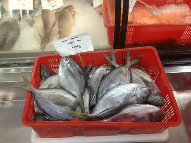 Asian Midway Foods