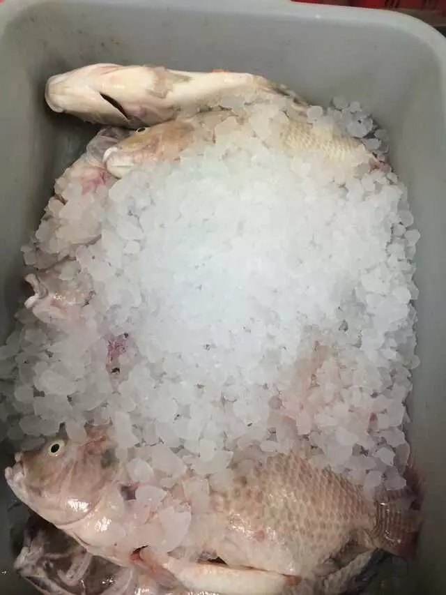 Asian Midway Foods